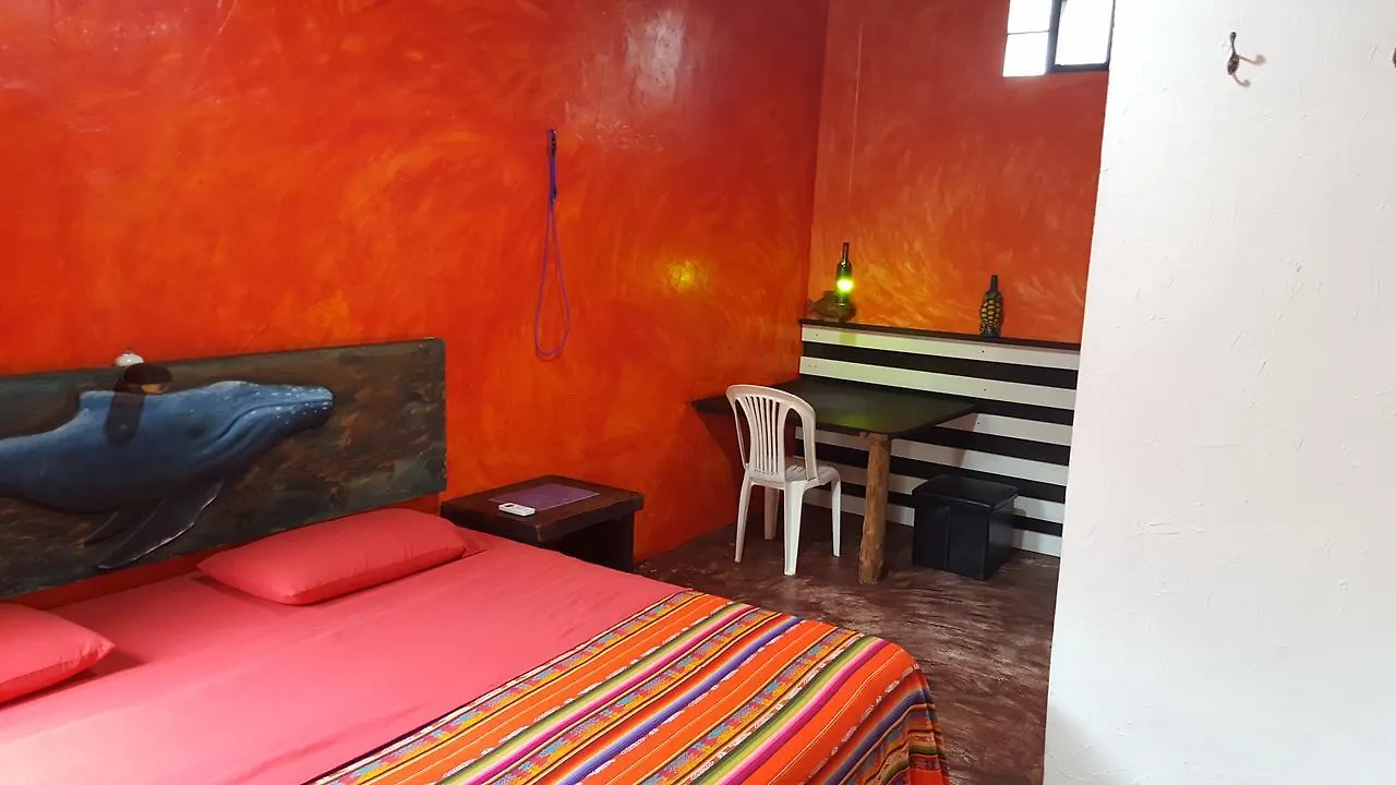 Galapagos Morning Glory Hostel Puerto Ayora  Ecuador